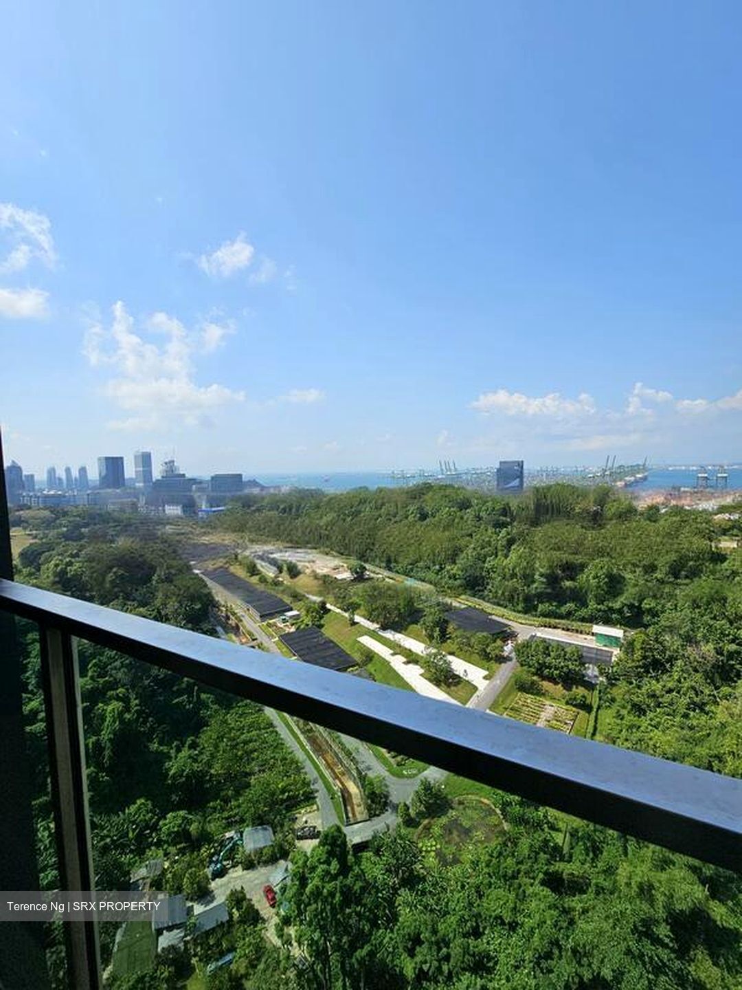 Normanton Park (D5), Apartment #483411171